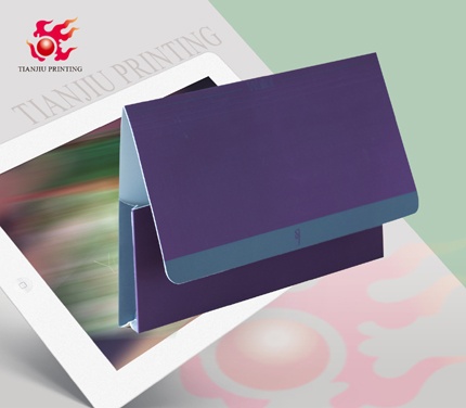 A4 Paper File Folder with Pockets