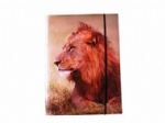 file folder