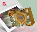 paper shopping bag