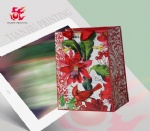 shopping paper bag