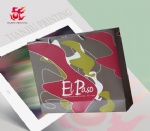 Custom Logo Printed Shopping Paper Bag