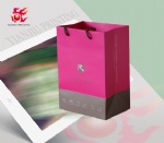 Custom Logo Printed Shopping Paper Bag