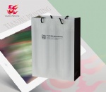 Custom Logo Printed Shopping Paper Bag