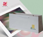Custom Logo Printed Shopping Paper Bag