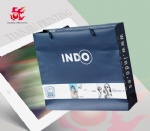 Custom Logo Printed Shopping Paper Bag