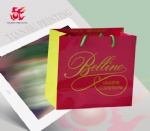 Custom Logo Printed Shopping Paper Bag