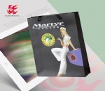 Custom Logo Printed Shopping Paper Bag