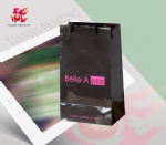 Custom Logo Printed Shopping Paper Bag