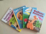 children book